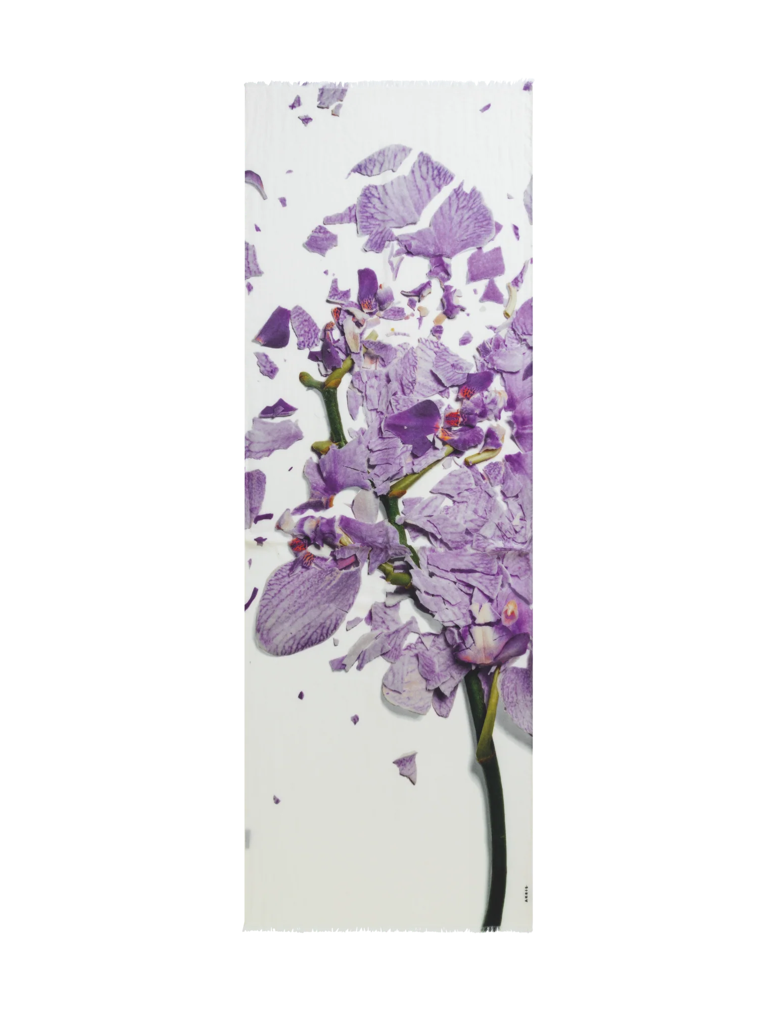 Scarf Cashmere Silk Scattered Orchid Print