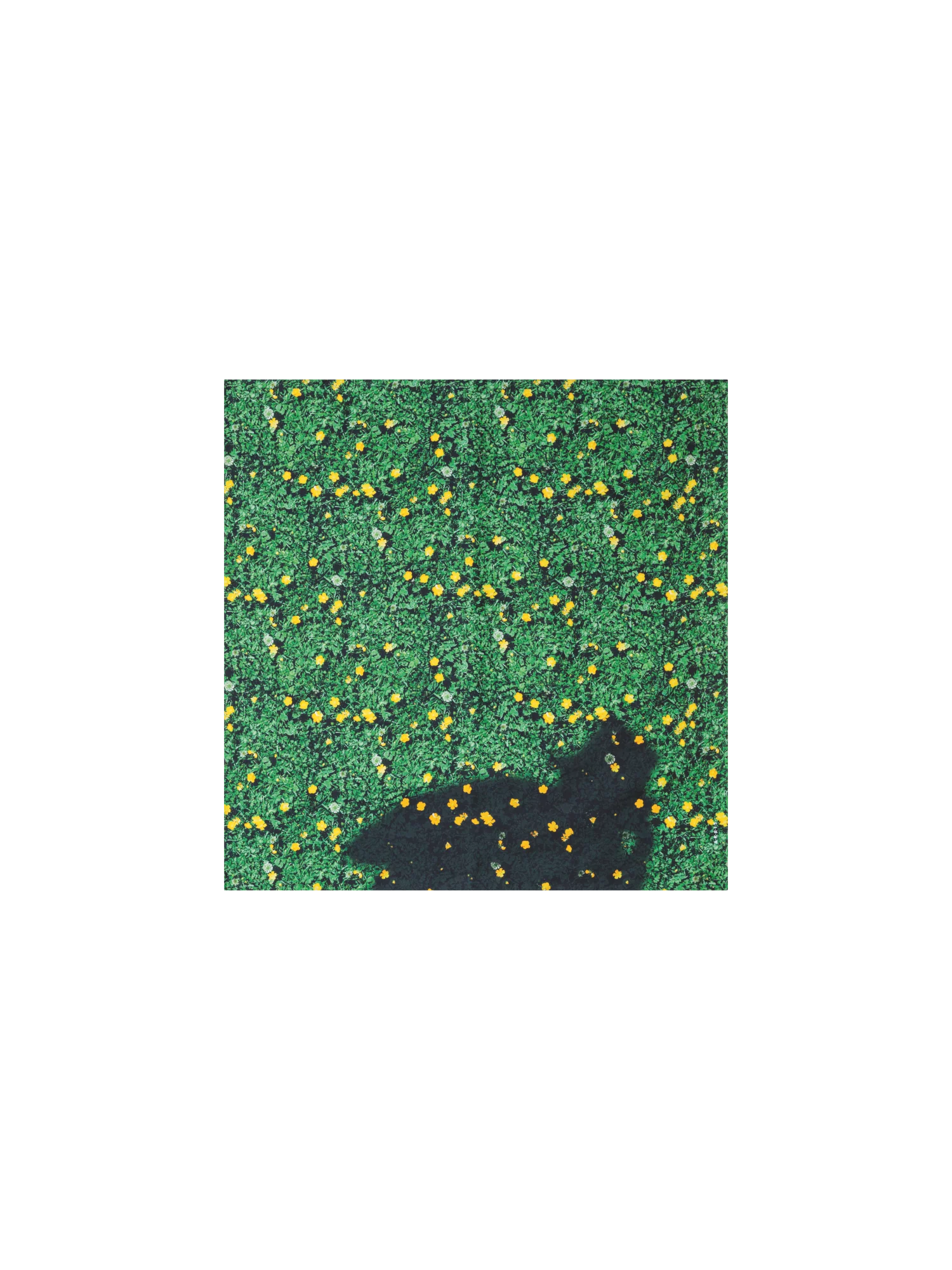 Scarf in Silk with Buttercups Print