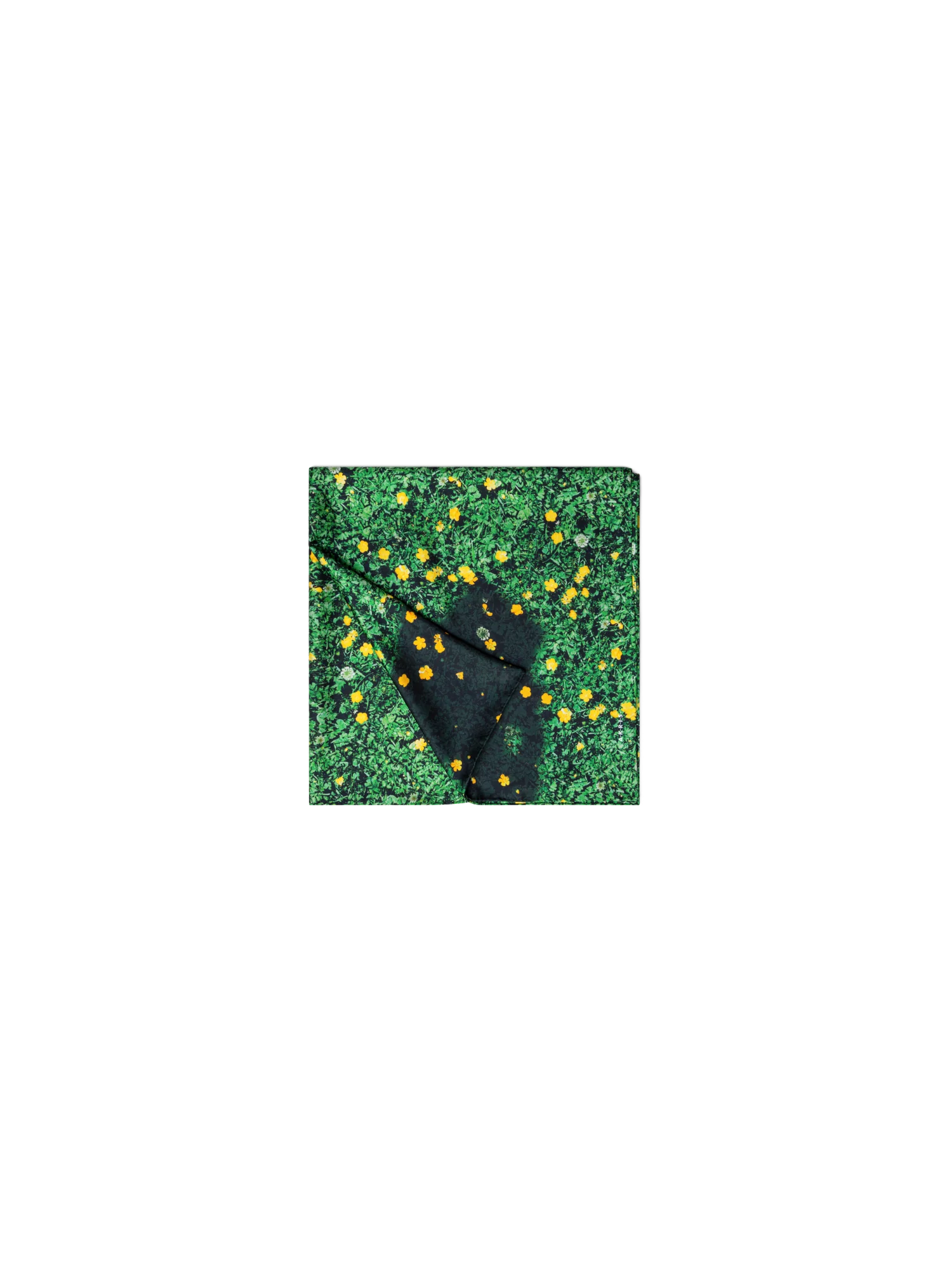 Scarf in Silk with Buttercups Print - Image 3