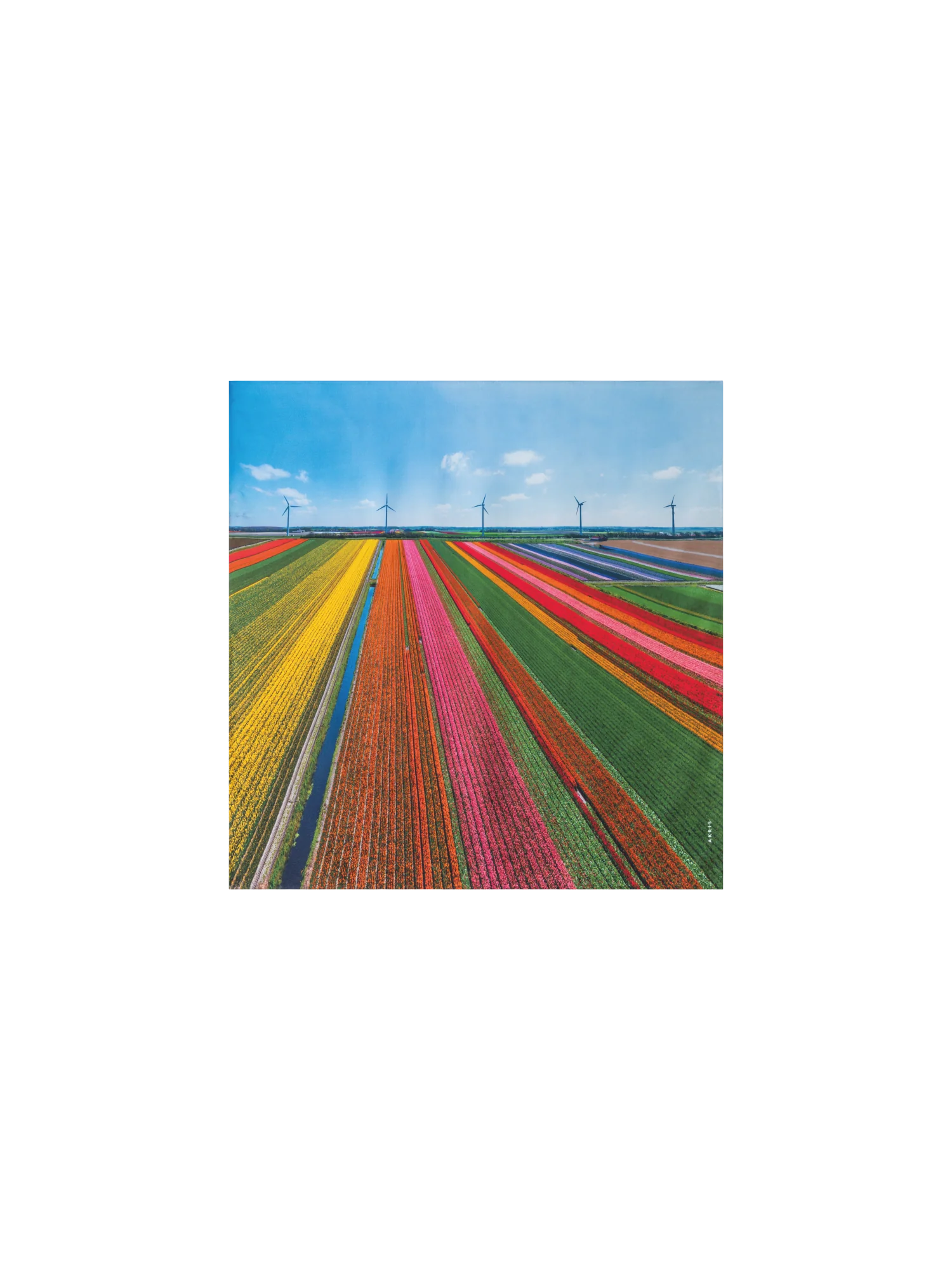 Scarf in Silk with Wind Turbine Print