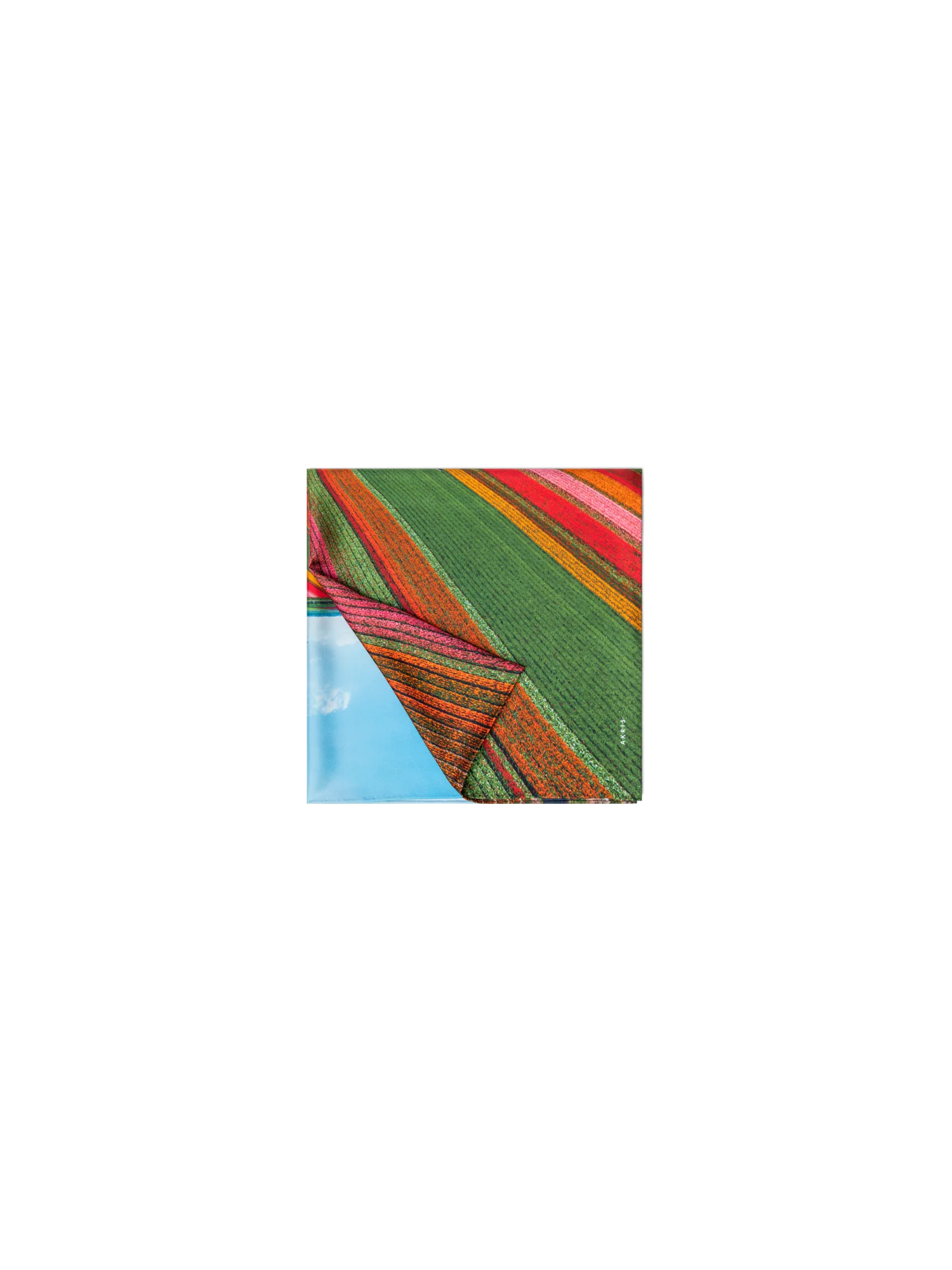 Scarf in Silk with Wind Turbine Print - Image 3